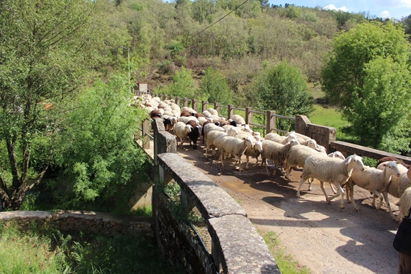 Route - PR1 VMS – Pelas Margens do Rio Angueira - São Joanico, Vale de Frades| Vimioso| Terras de Trás-os-Montes| Portugal