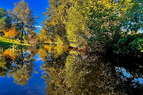 Rota - GR 298 Grande Rota dos Moinhos e dos Lameiros - Portelo| Portugal