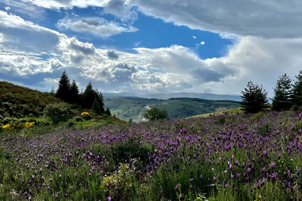 Rota -  GR 298 Etapa 1 - Grande Rota dos Moinhos e dos Lameiros - Portelo| Bragança| Terras de Trás-os-Montes| Portugal