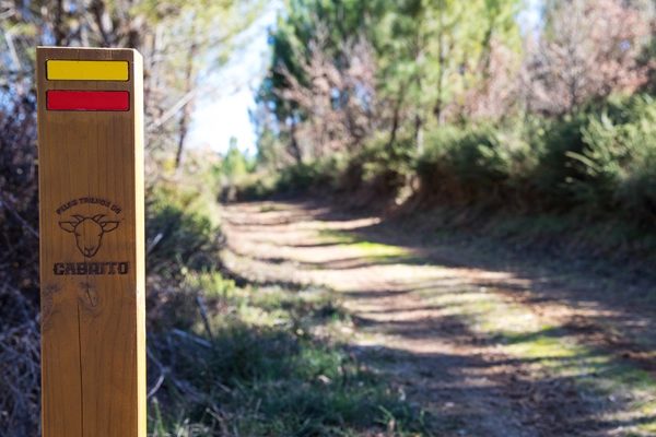 Rota - PR5 OLR - Trilho do Cabrito - PR 5 OLR| Oleiros| Beira Baixa| Portugal