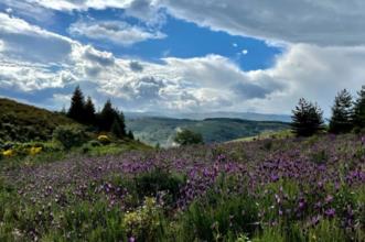 Rota -  GR 298 Etapa 1 - Grande Rota dos Moinhos e dos Lameiros - Portelo| Bragança| Terras de Trás-os-Montes| Portugal