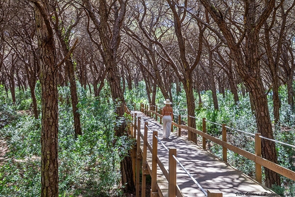 Rota - Passadiços da Mata dos Medos - Almada| Área Metropolitana de Lisboa| Portugal