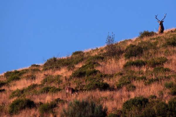 Rota - GR 298 Etapa 2 - Grande Rota dos Moinhos e dos Lameiros  - Aveleda| Bragança| Terras de Trás-os-Montes| Portugal