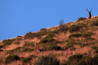 Rota - GR 298 Etapa 2 - Grande Rota dos Moinhos e dos Lameiros  - Aveleda| Bragança| Terras de Trás-os-Montes| Portugal