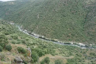 Rota - Caminho do Ferro - Salamanca| Salamanca| España