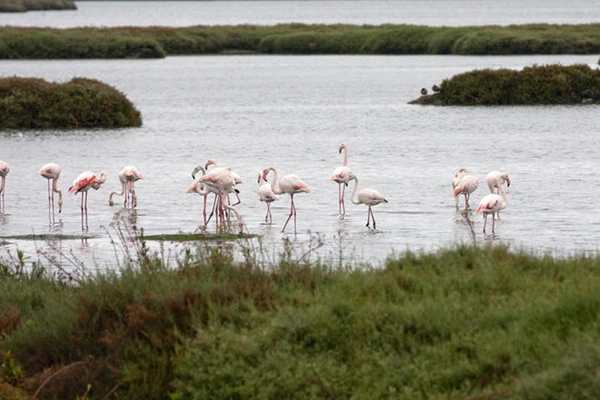 Rota - Ciclovia - Percurso Arrentela / Seixal  - Arrentela| Seixal| Área Metropolitana de Lisboa| Portugal