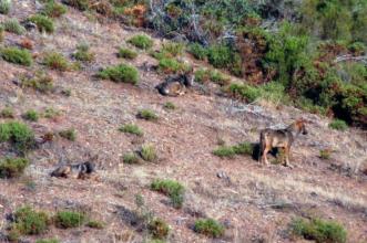 Rota - GR 298 Grande Rota dos Moinhos e dos Lameiros - Variante - Portelo| Bragança| Terras de Trás-os-Montes| Portugal