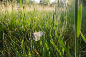 Rota - GR 298 Grande Rota dos Moinhos e dos Lameiros - Variante - Portelo| Bragança| Terras de Trás-os-Montes| Portugal