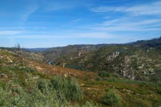 Rota - GR48 Etapa Orla do Mondego - Oliveira do Conde| Carregal do Sal| Viseu Dão Lafões| Portugal