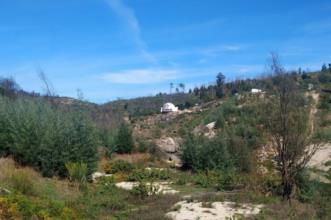 Rota - GR48 Etapa Orla do Mondego - Oliveira do Conde| Carregal do Sal| Viseu Dão Lafões| Portugal