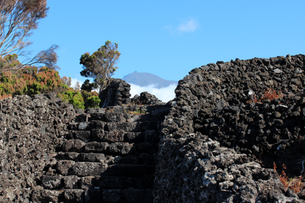Rota - P1 - Canada do Mingato - Percurso do Vinho e da Vinha - Candalária| Madalena| Região Autónoma dos Açores| Portugal
