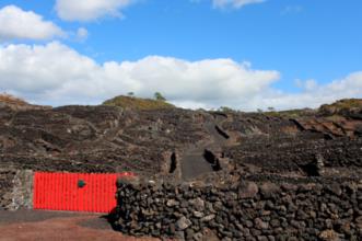 Rota - P1 - Canada do Mingato - Percurso do Vinho e da Vinha - Candalária| Madalena| Região Autónoma dos Açores| Portugal
