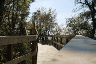 Rota - PR 4 – Trilho Terras de Granito - Macieira de Alcôba | Águeda| Região de Aveiro| Portugal