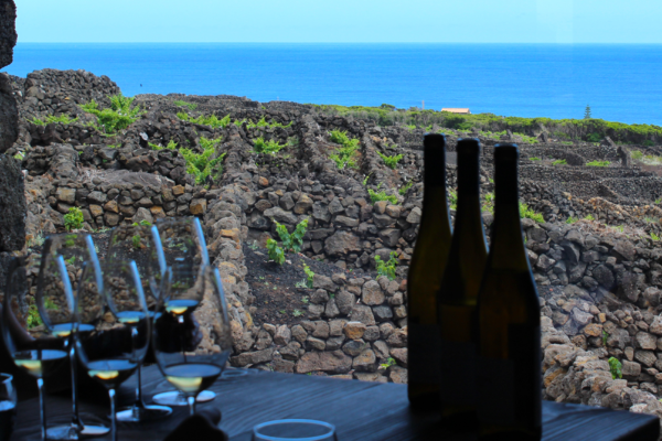 Rota - Rota do Vinho, da Vinha e dos Maroiços - São Mateus| Madalena| Região Autónoma dos Açores| Portugal