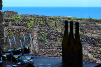 Rota - Rota do Vinho, da Vinha e dos Maroiços - São Mateus| Madalena| Região Autónoma dos Açores| Portugal