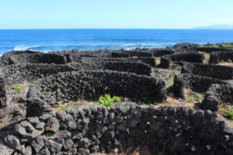Rota - Rota do Vinho, da Vinha e dos Maroiços - São Mateus| Madalena| Região Autónoma dos Açores| Portugal