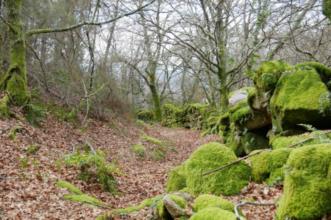 Rota - PR 4 – Trilho Terras de Granito - Macieira de Alcôba | Águeda| Região de Aveiro| Portugal