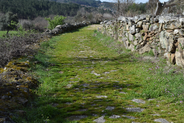 Rota - PR2 PCT MGL - Caminho dos Galegos – Rota de Santiago - Aldeia de Mareco| Penalva do Castelo| Viseu Dão Lafões| Portugal