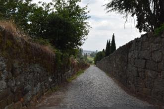 Route - PR7 PCT – Trilho de Castendo  - Penalva do Castelo| Viseu Dão Lafões| Portugal