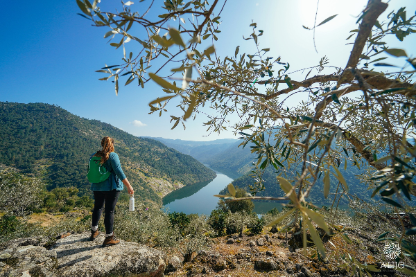 Rota - PR1 ALJ - Trilho das Fragas Más - São Mamede de Ribatua| Alijó| Douro| Portugal