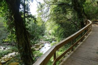 Rota - PR25 Trilho dos Passadiços (Sistelo) - Sistelo| Arcos de Valdevez| Alto Minho| Portugal