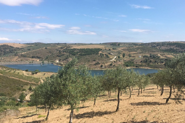 Rota - PR1 MUR - Trilho da Sobreira - Porrais| Murça| Douro| Portugal