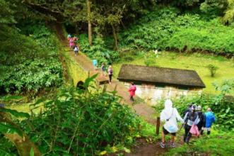Route - PRC 37 SMI Janela do Inferno (Rota da Água) - Remédios| Lagoa| Região Autónoma dos Açores| Portugal