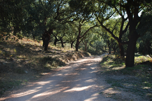 Route - Centro de BTT da Ferraria de S.João- Percurso 1 - Ferraria de São João| Penela| Região de Coimbra| Portugal