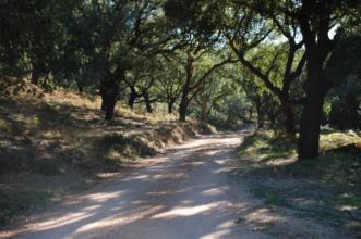 Route - Centro de BTT da Ferraria de S.João- Percurso 1 - Ferraria de São João| Penela| Região de Coimbra| Portugal