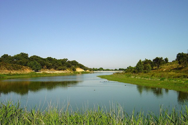 Rota - PR1 APC Pela Reserva do Cavalo do Sorraia - Reserva do cavalo do Sorraia| Alpiarça| Lezíria do Tejo| Portugal
