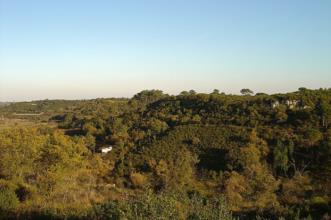 Rota - PR2 AZB Castro de Vila Nova de São Pedro  - Vila Nova de São Pedro| Azambuja| Lezíria do Tejo| Portugal