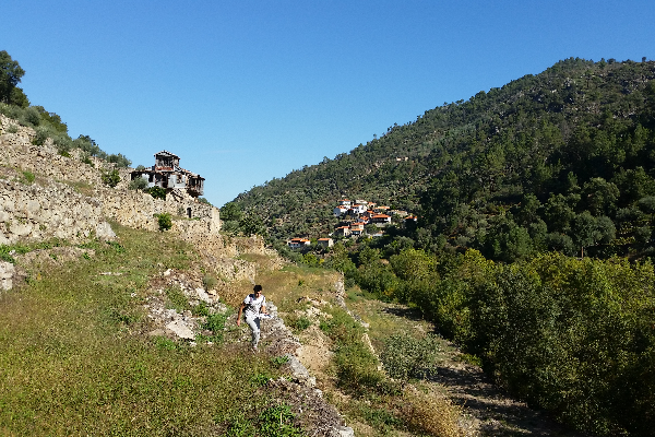 Rota - PR1 – Vale do Tedo - Granja do Tedo| Tabuaço| Douro| Portugal