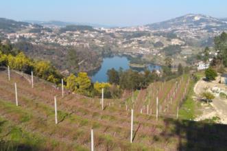 Route - PR1 CPV Ilha dos Amores - Fornos| Castelo de Paiva| Tâmega e Sousa| Portugal