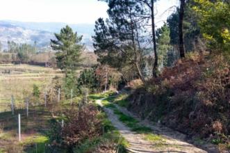 Route - PR1 CPV Ilha dos Amores - Fornos| Castelo de Paiva| Tâmega e Sousa| Portugal