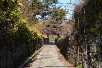 Route - PR1 CPV Ilha dos Amores - Fornos| Castelo de Paiva| Tâmega e Sousa| Portugal