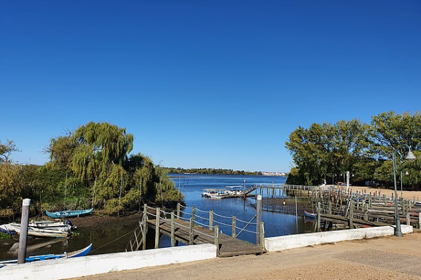 Rota - PR1 SMG A Mata Nacional do Escaroupim - Escaroupim| Salvaterra de Magos| Lezíria do Tejo| Portugal