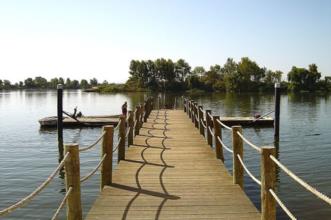 Rota - PR1 SMG A Mata Nacional do Escaroupim - Escaroupim| Salvaterra de Magos| Lezíria do Tejo| Portugal