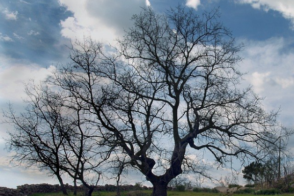 Rota - PR6 CVD Paisagens Fantásticas de Póvoa e Meadas - Póvoa e Meadas| Castelo de Vide| Alto Alentejo| Portugal
