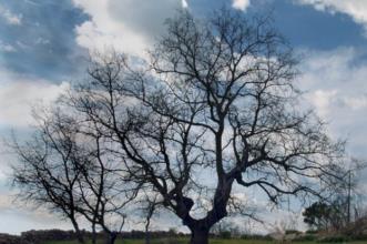 Rota - PR6 CVD Paisagens Fantásticas de Póvoa e Meadas - Póvoa e Meadas| Castelo de Vide| Alto Alentejo| Portugal