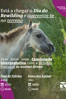 Evento - Dia Mundial do Rewilding - Caminhadas Interpretativas - Almeida| Beiras e Serra da Estrela| Portugal - De 21, mar 2026 a 28, mar 2026