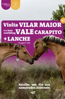 Evento - Dia dos Namorados - Passeio Rewilding + Lanche - Sabugal| Beiras e Serra da Estrela| Portugal - 14, fev 2026